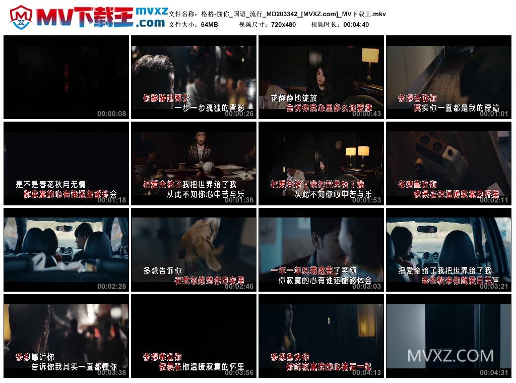 格格-懂你_国语_流行_MD203342